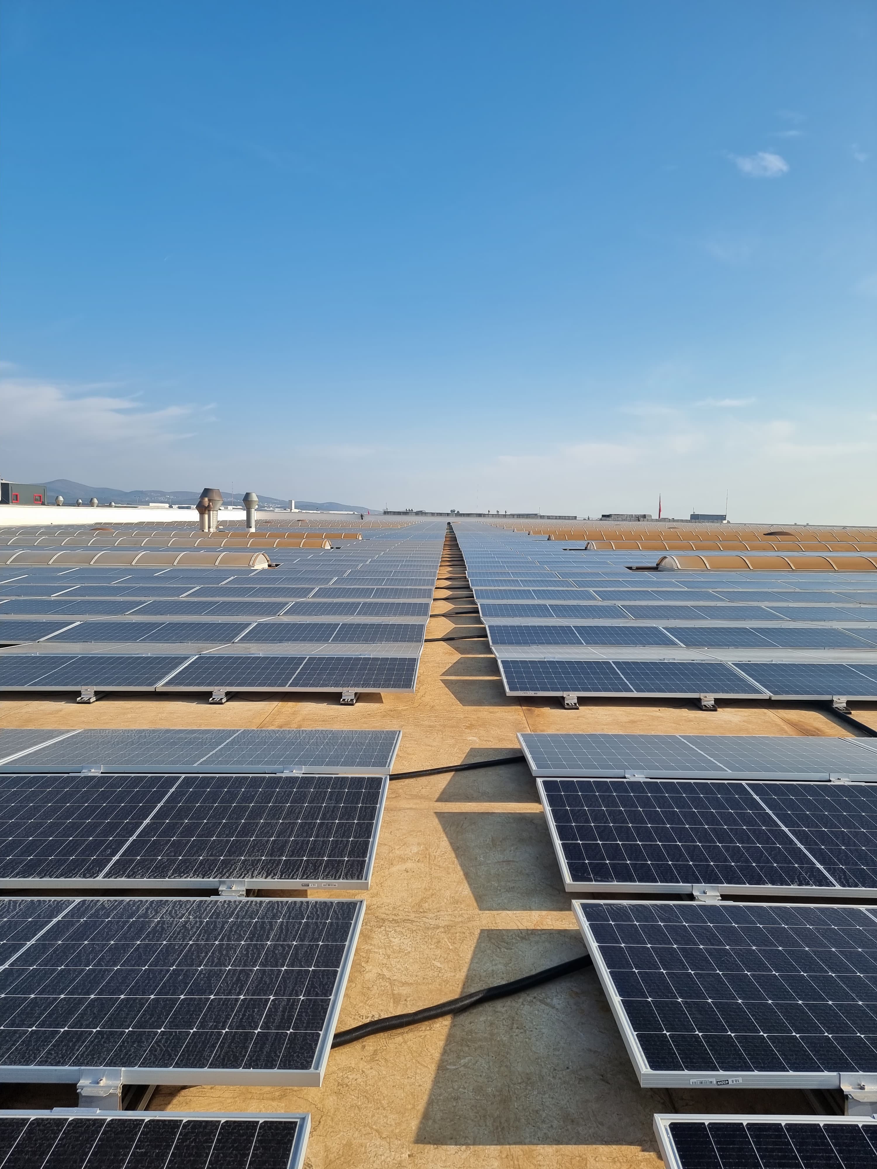 SolarSage Initiative